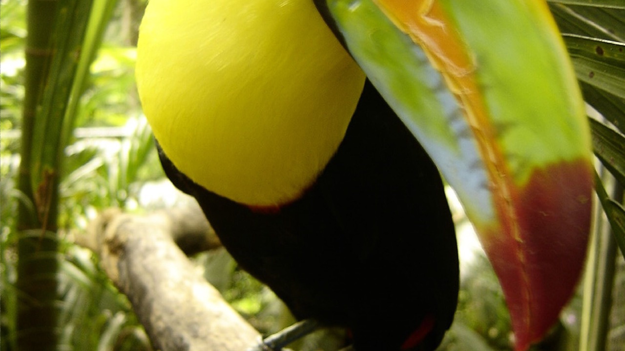 Photo of Outdoor in Tamarindo