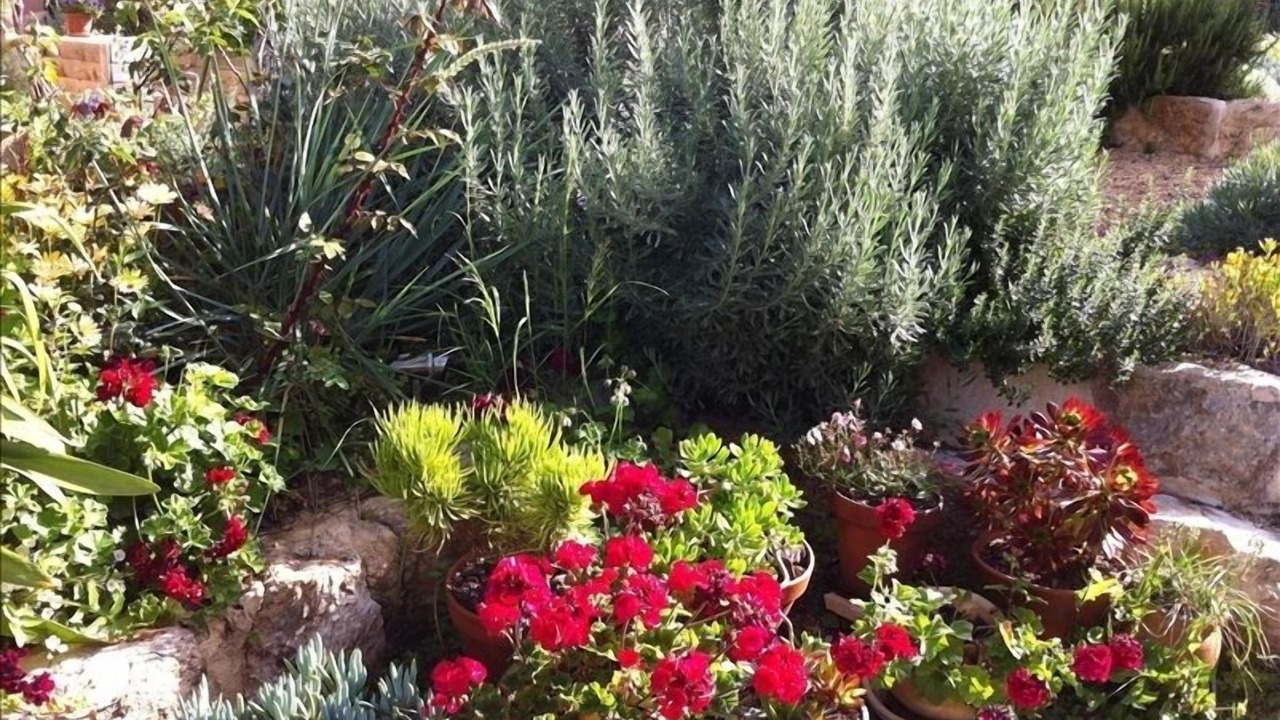 Photo of Outdoor in Zikhron Ya'aqov