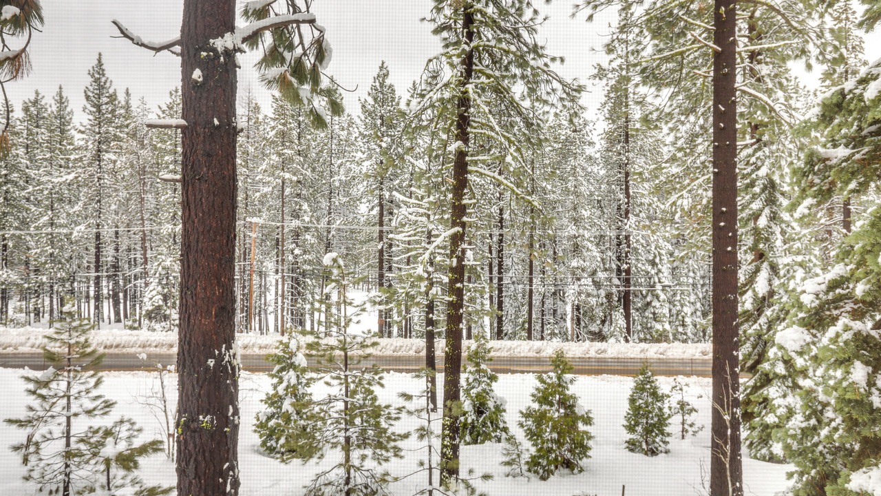 Photo of Others in Truckee