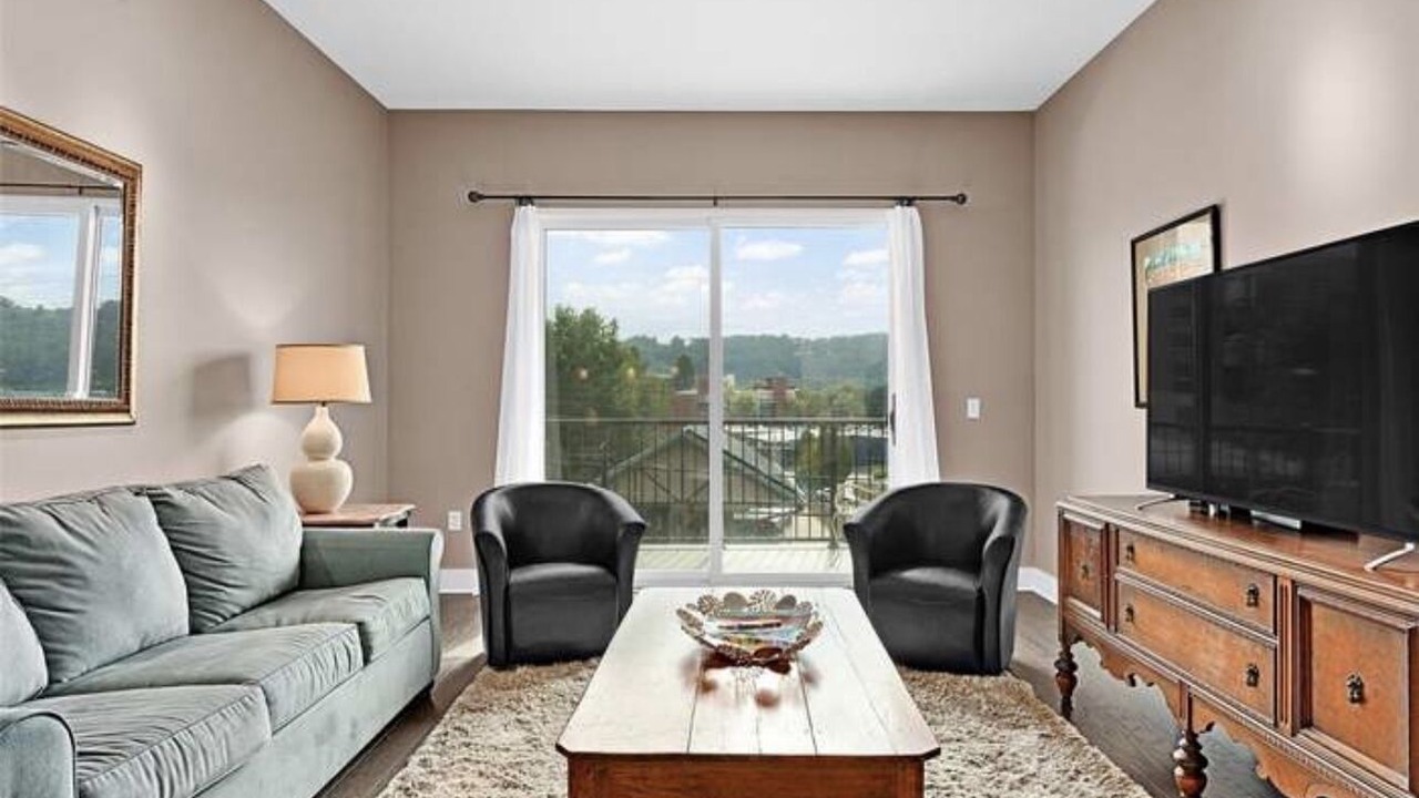 Photo of Livingroom in Downtown Asheville