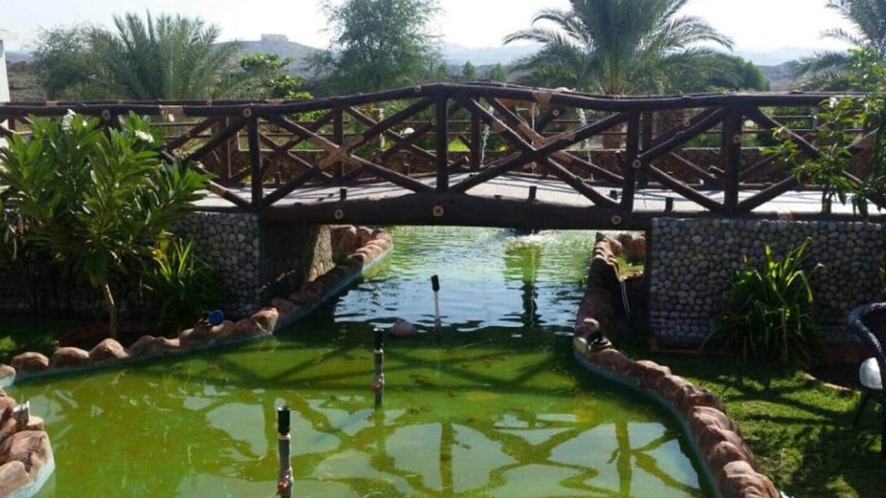 Photo of Others in Ras Al Khaimah