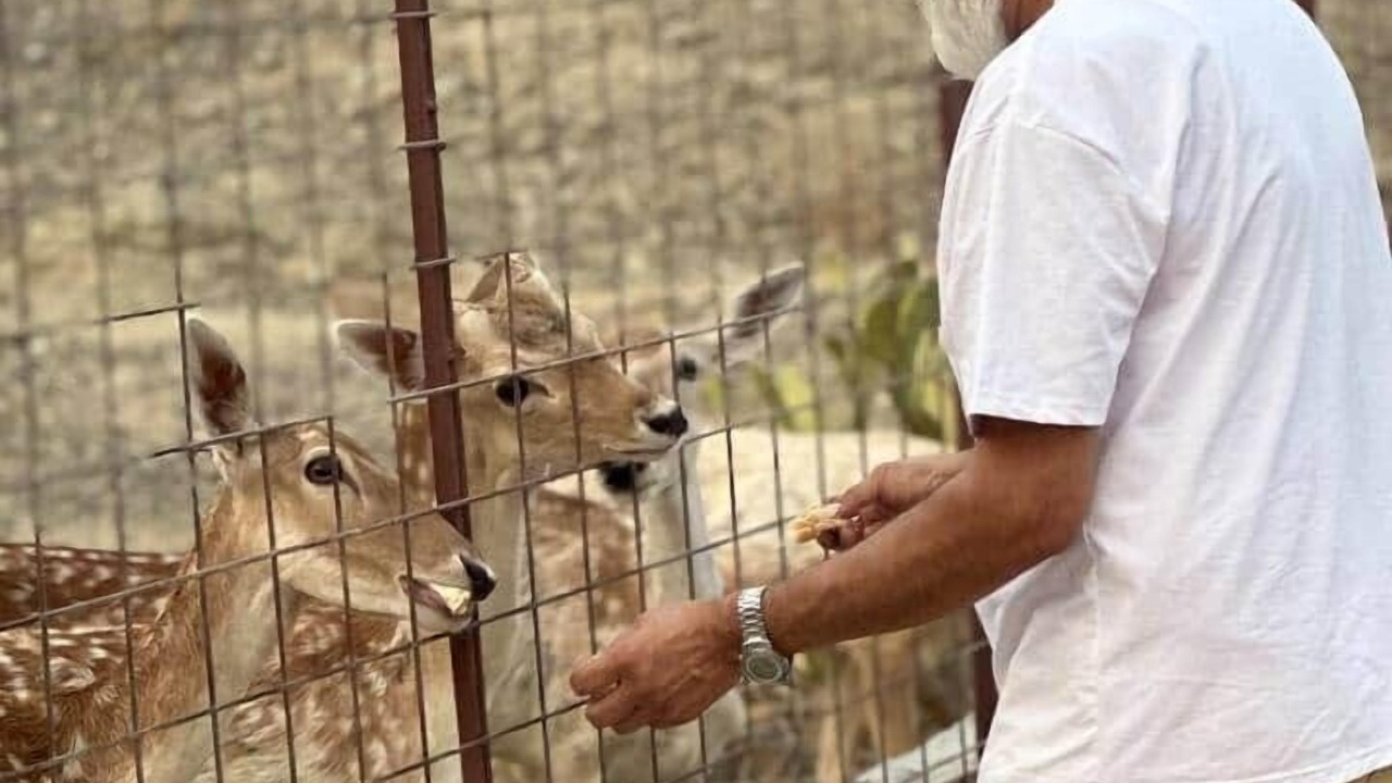 Photo of Others in Ras Al Khaimah