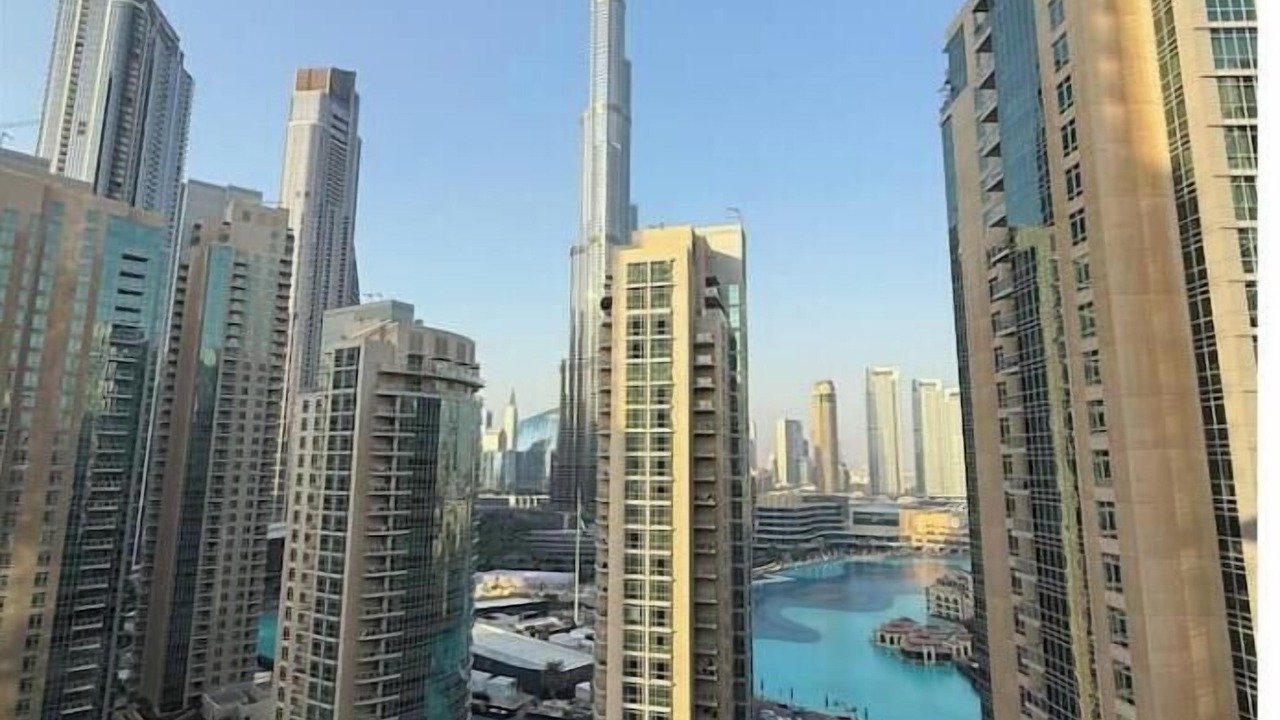 Photo of Others in Dubai