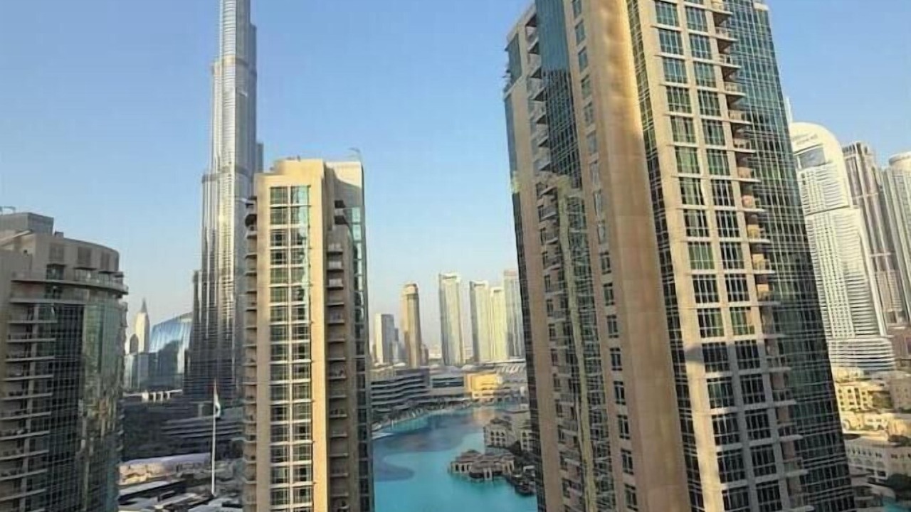 Photo of Others in Dubai
