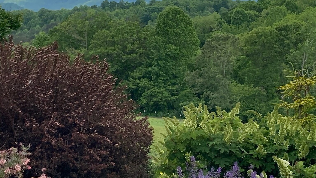 Photo of Outdoor in Leicester