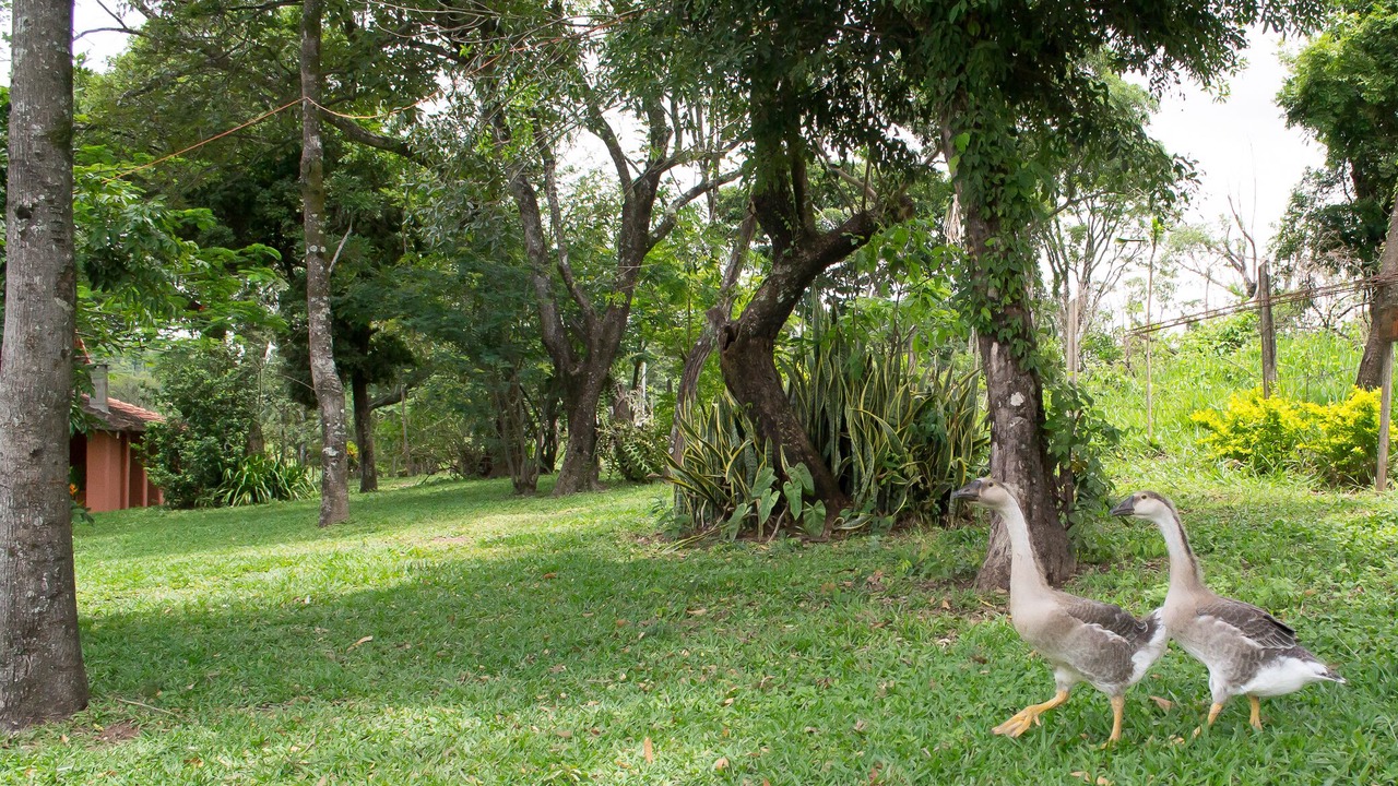 Photo of Outdoor in Contagem