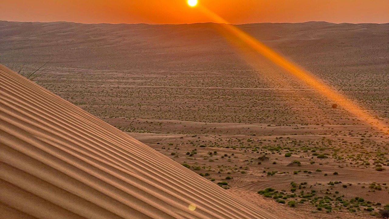 Photo of Others in Al Wasil