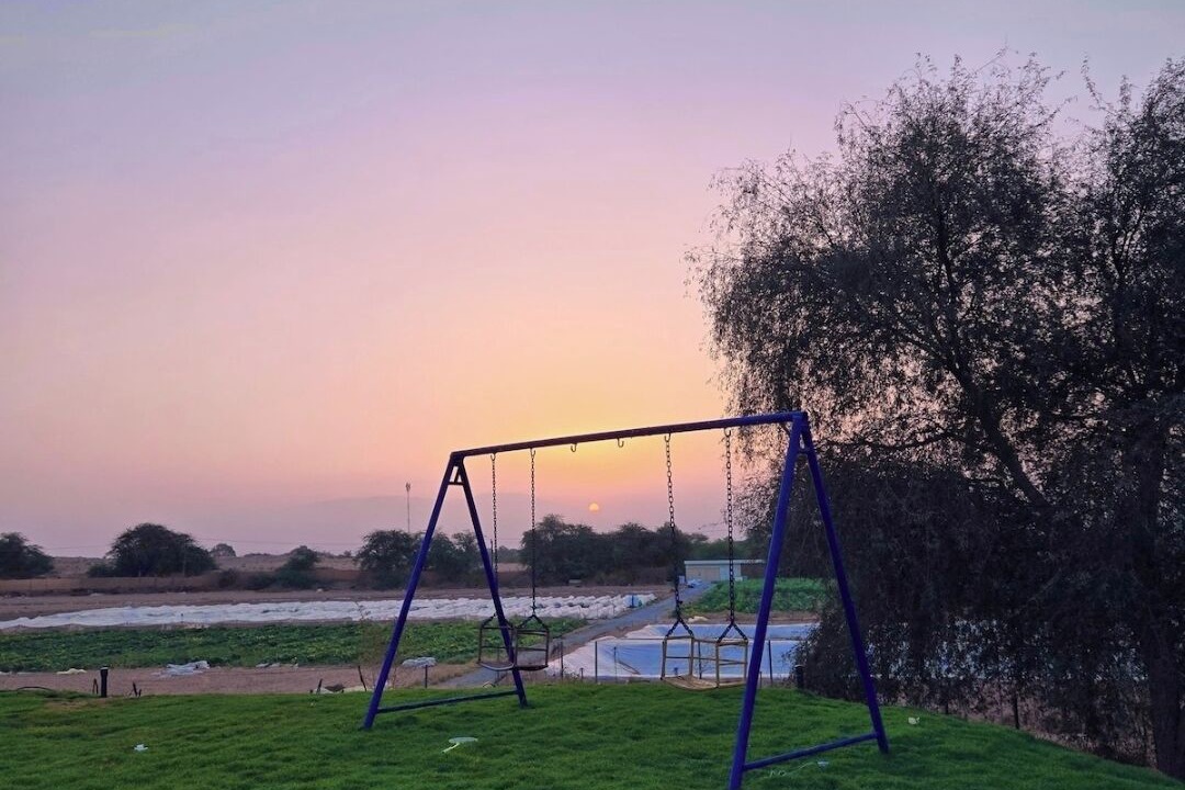 Photo of Others in Ras Al Khaimah