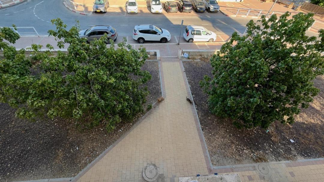 Photo of Others in Beersheba