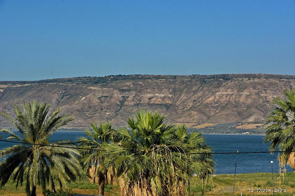 Photo of Others in Kinneret