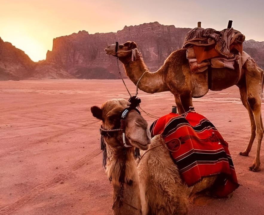 Photo of Others in Wadi Rum
