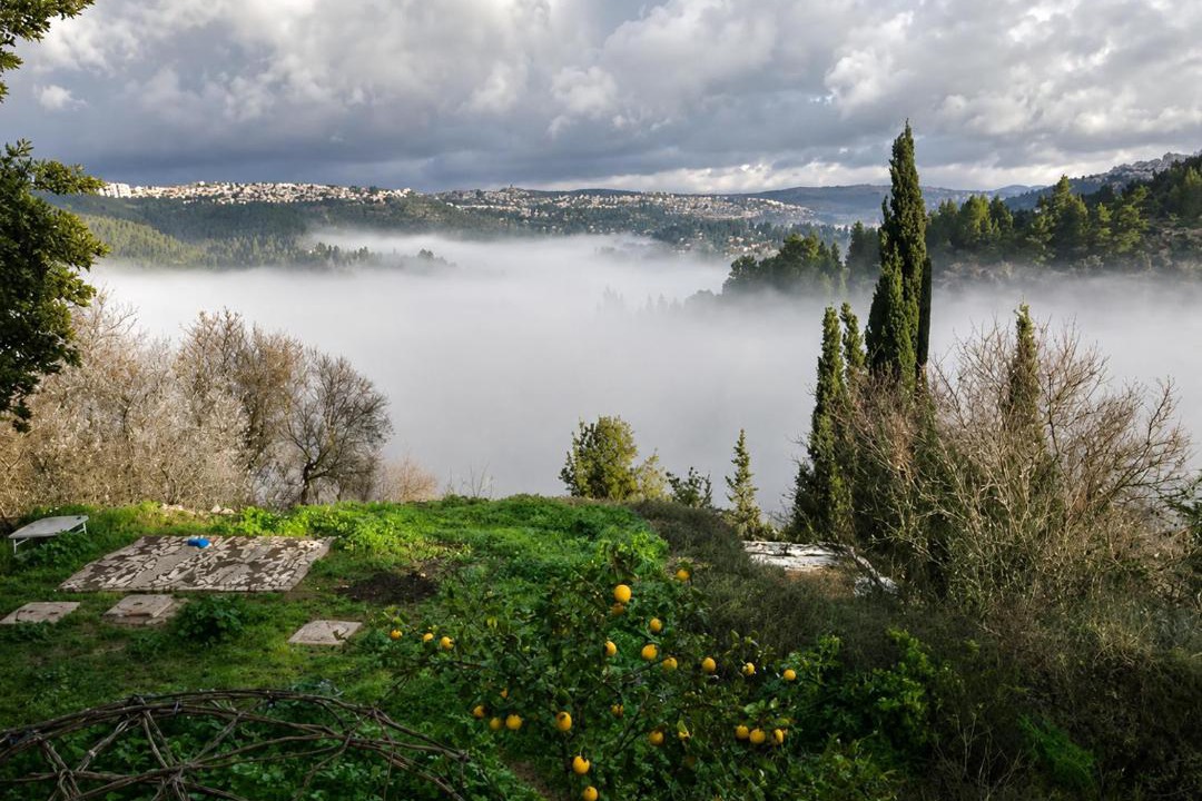 Photo of Others in Ein Karem