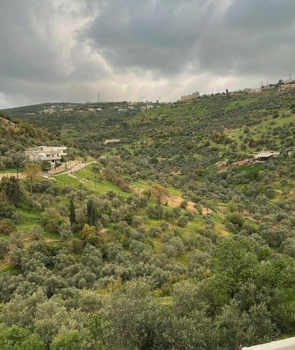 Photo of Others in Ajloun
