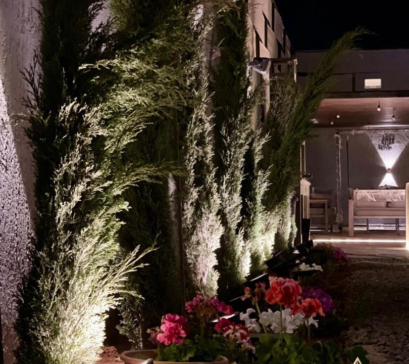 Photo of Others in Sahab