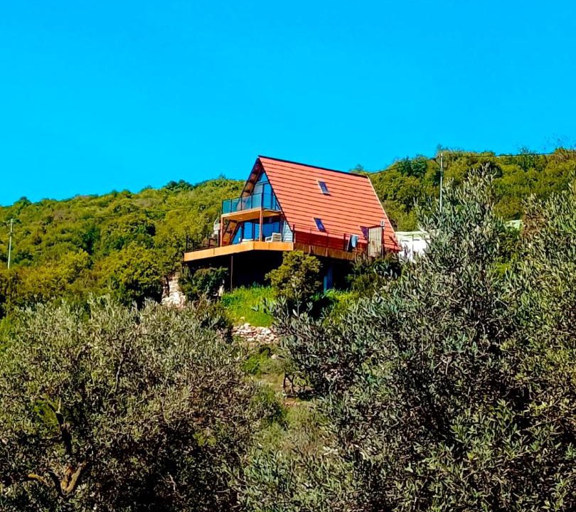 Photo of Others in Ajloun