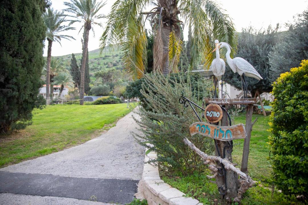 Photo of Others in Beit Alfa