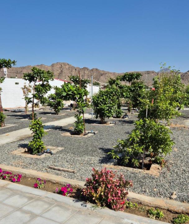 Photo of Others in Hatta