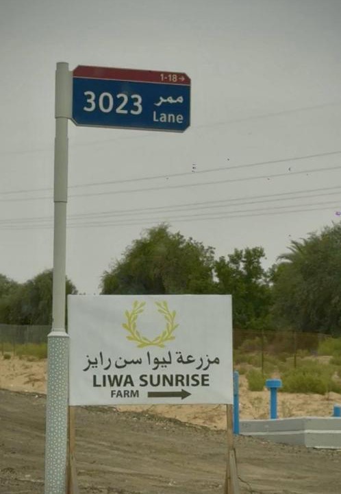 Photo of Others in Liwa