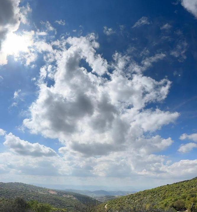 Photo of Others in Ajloun