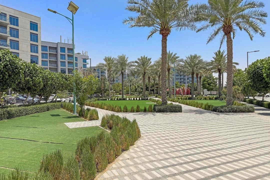 Photo of Others in Dubai