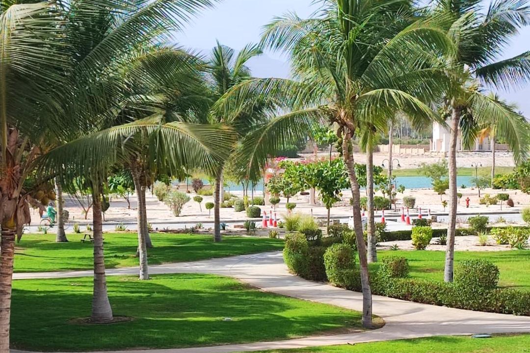 Photo of Others in Salalah