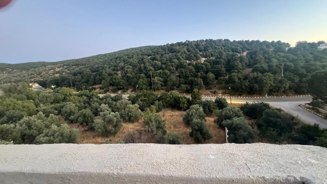 Photo of Others in Ajloun