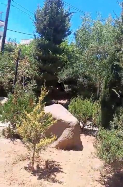 Photo of Outdoor in Jordan