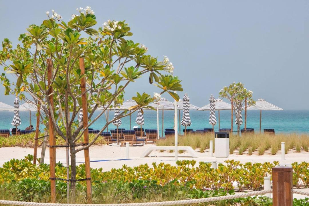 Photo of Others in Saadiyat Cultural District