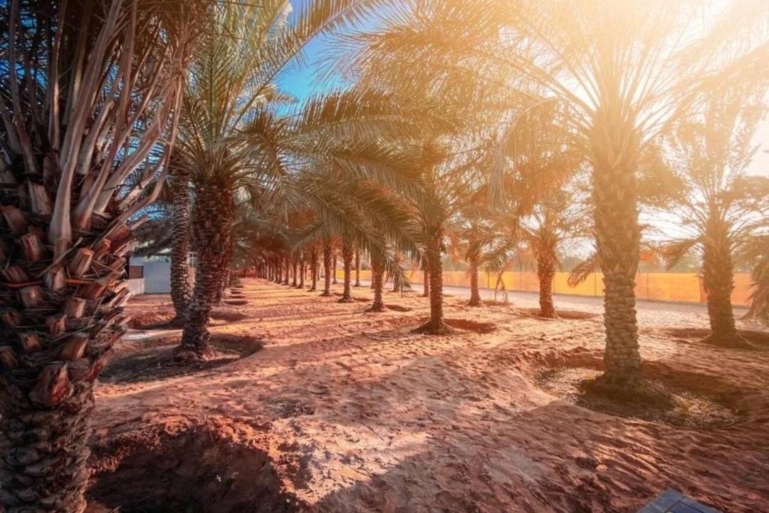 Photo of Others in Ras Al Khaimah