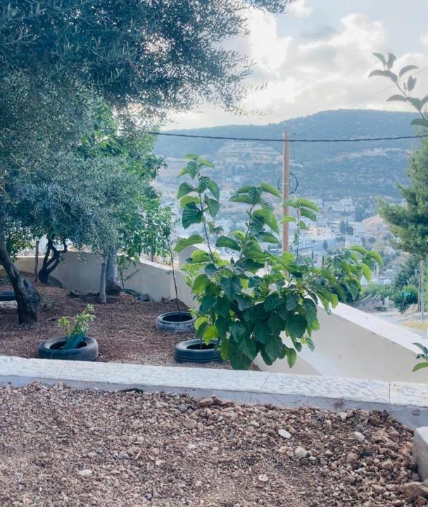 Photo of Others in Ajloun