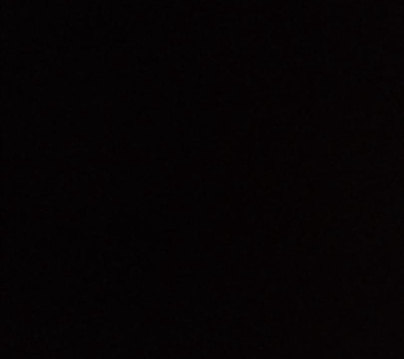 Photo of Others in Wadi Rum