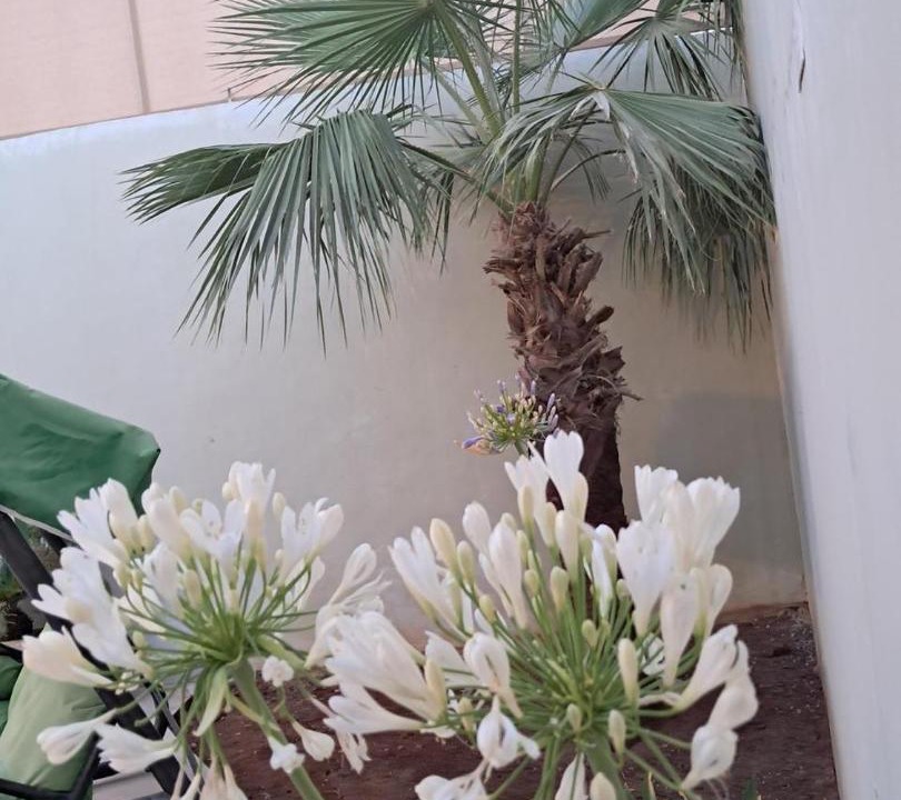 Photo of Others in Al Rama