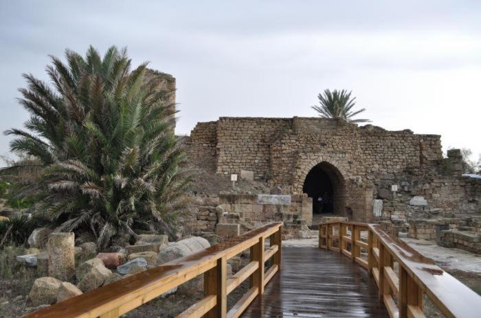 Photo of Others in Hadera