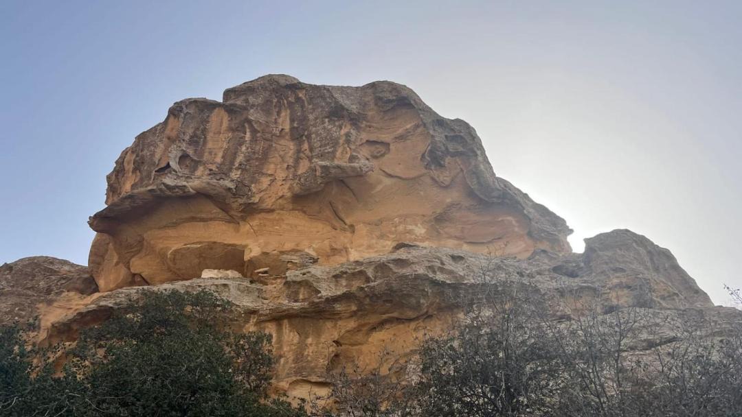 Photo of Others in Al-Qadisiya
