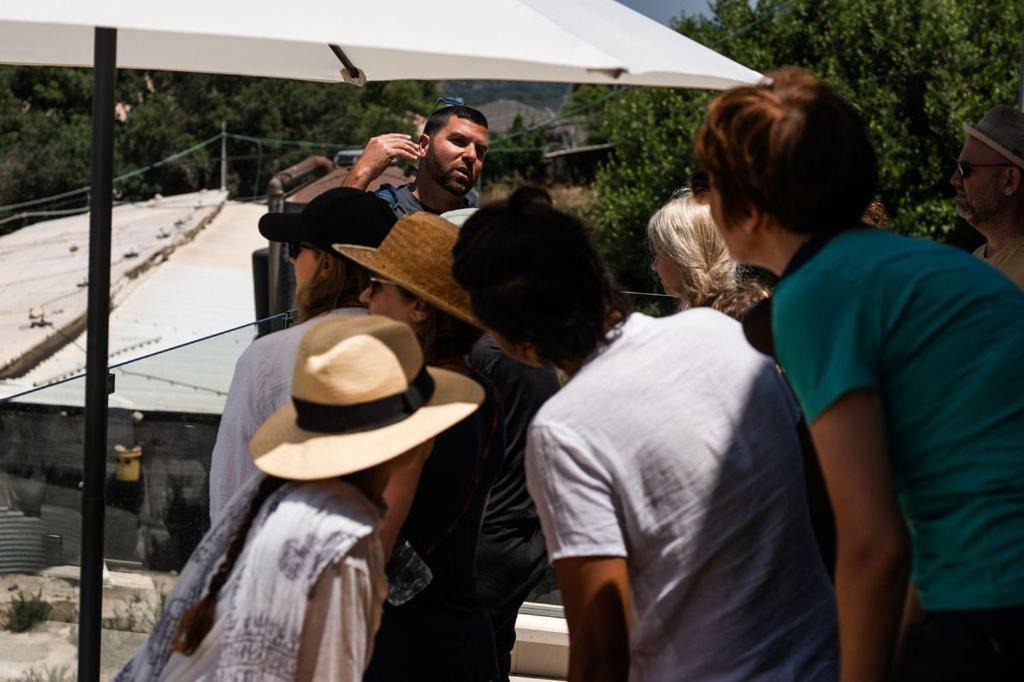 Photo of Others in Ein Ya'akov