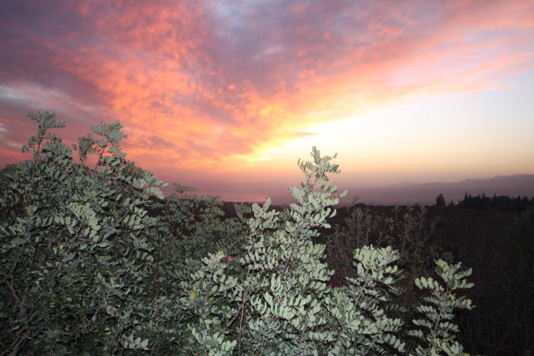 Photo of Others in Qatsrin