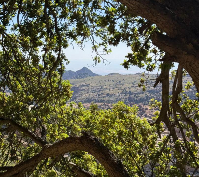 Photo of Others in Dana