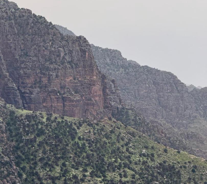 Photo of Others in Dana
