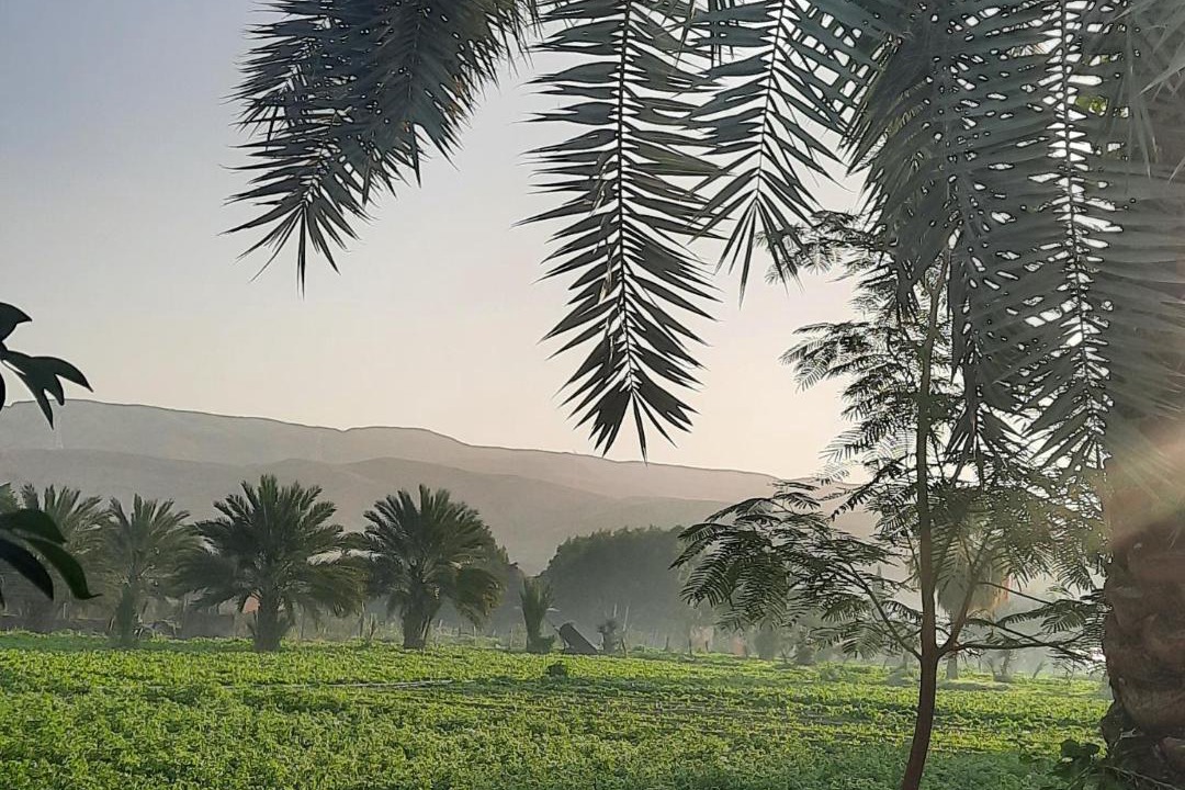 Photo of Others in Al-Maghtas