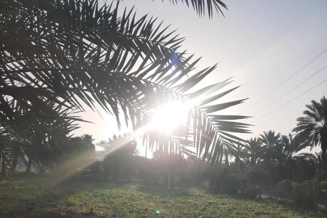 Photo of Others in Al-Maghtas