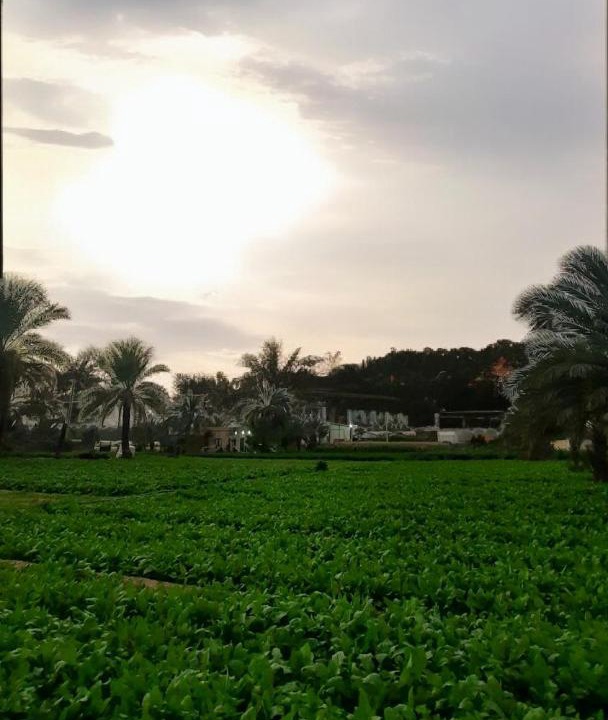 Photo of Others in Al-Maghtas