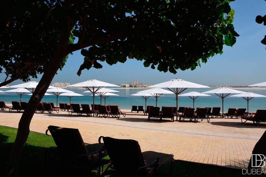 Photo of Others in Palm Jumeirah