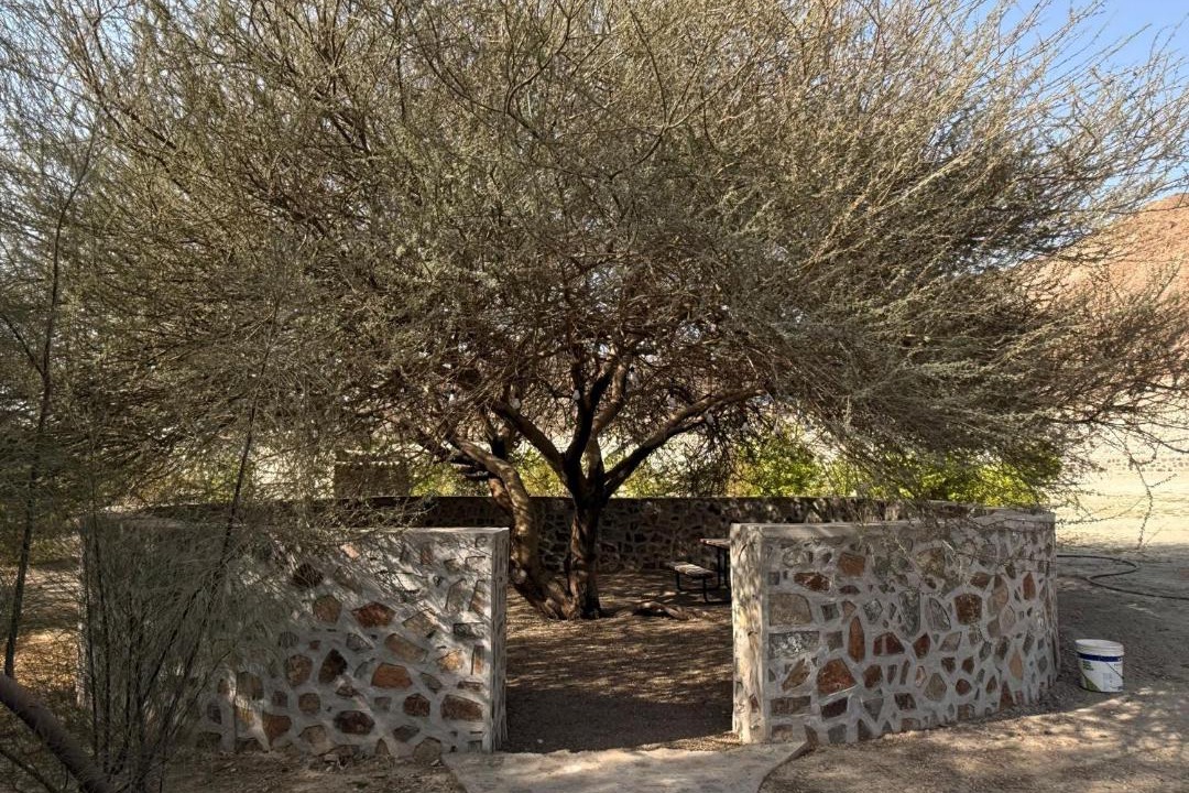 Photo of Others in Ras Al Khaimah