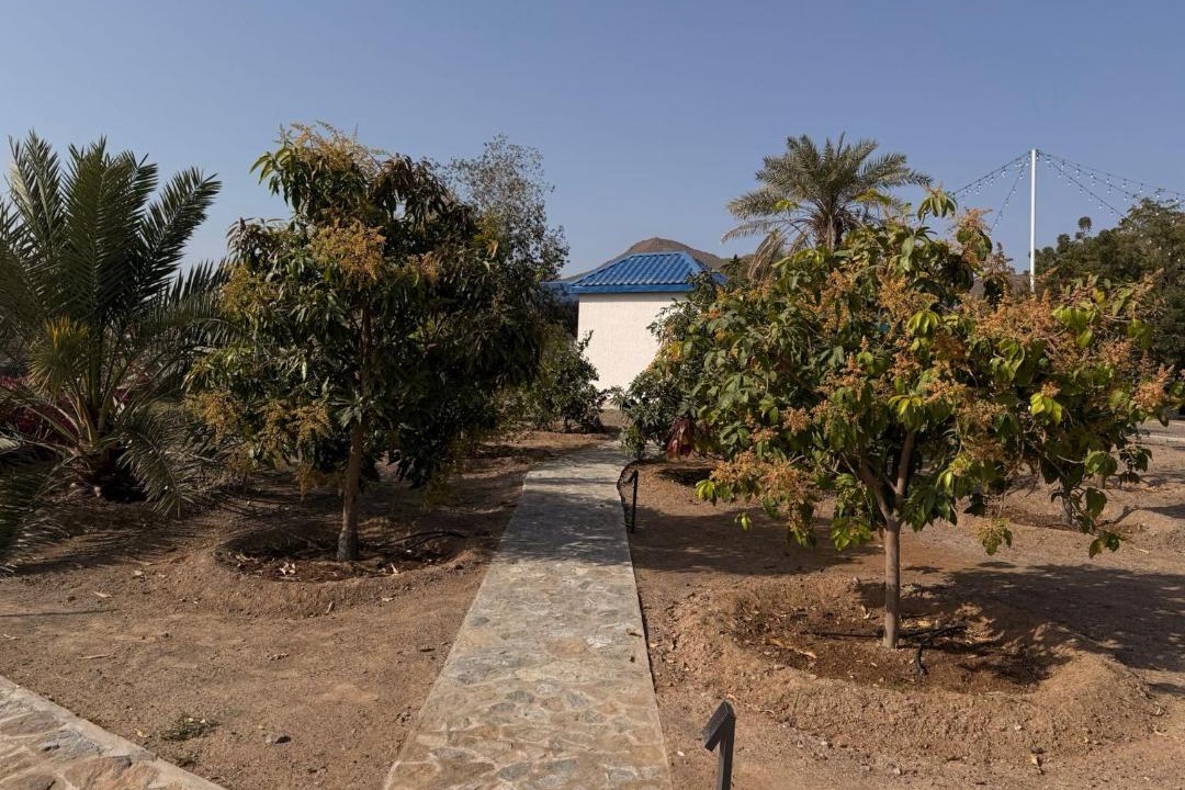 Photo of Others in Ras Al Khaimah