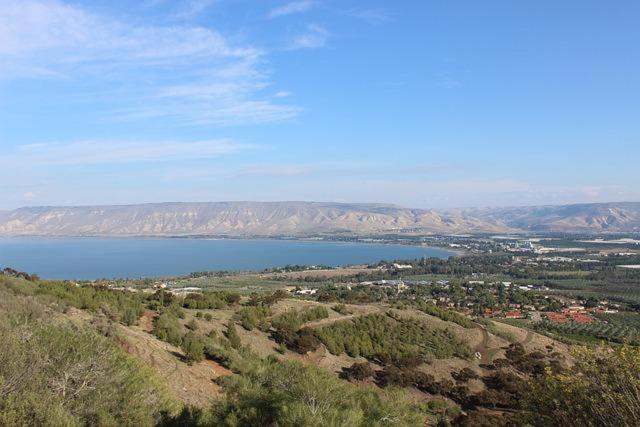 Photo of Others in Migdal