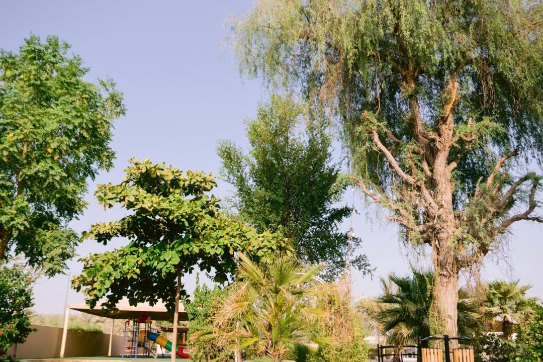 Photo of Others in Ras Al Khaimah