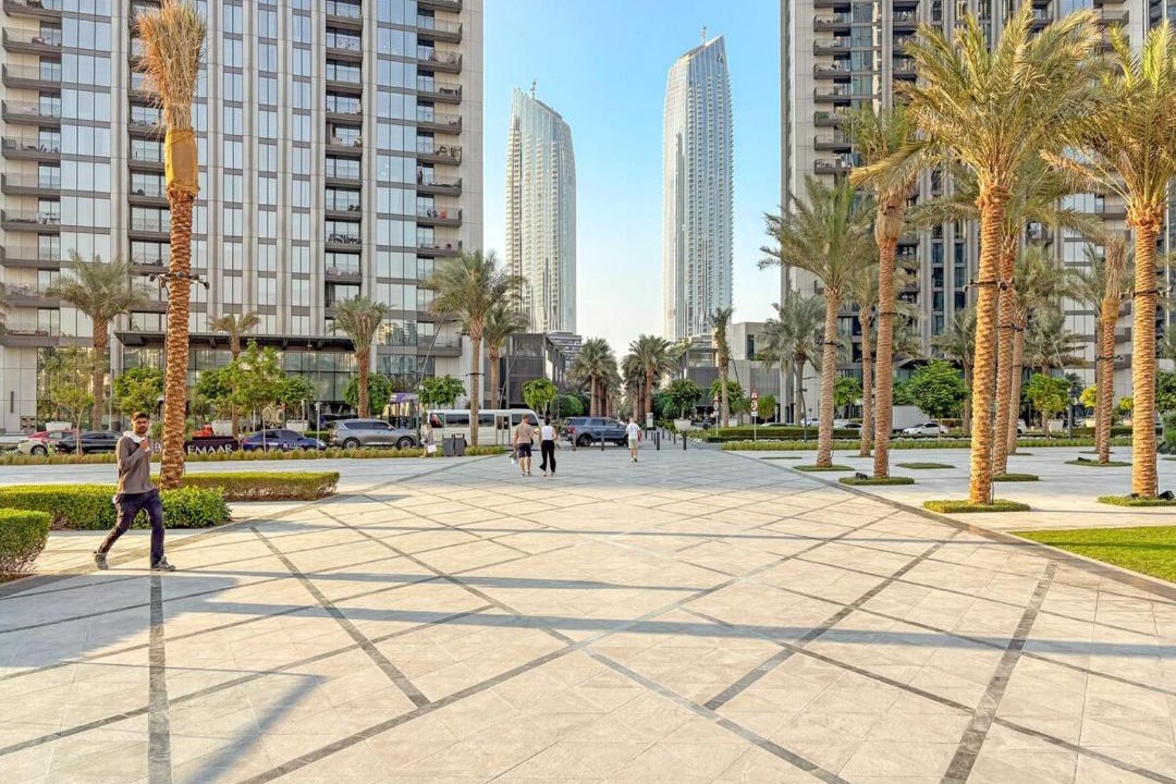 Photo of Others in Dubai