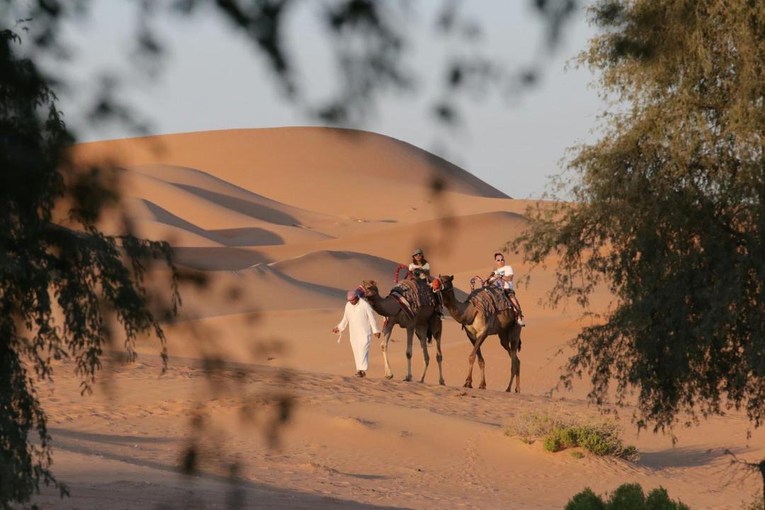 Photo of Others in Abu Dhabi