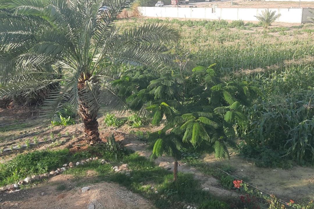 Photo of Others in Al-Maghtas