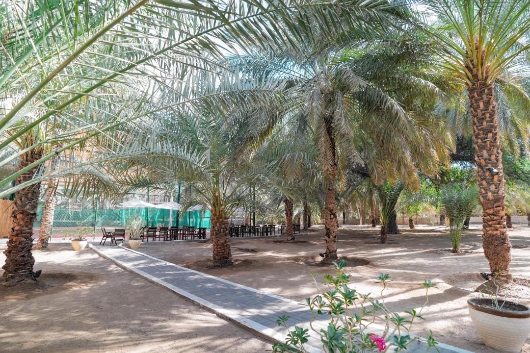Photo of Others in Al Ain
